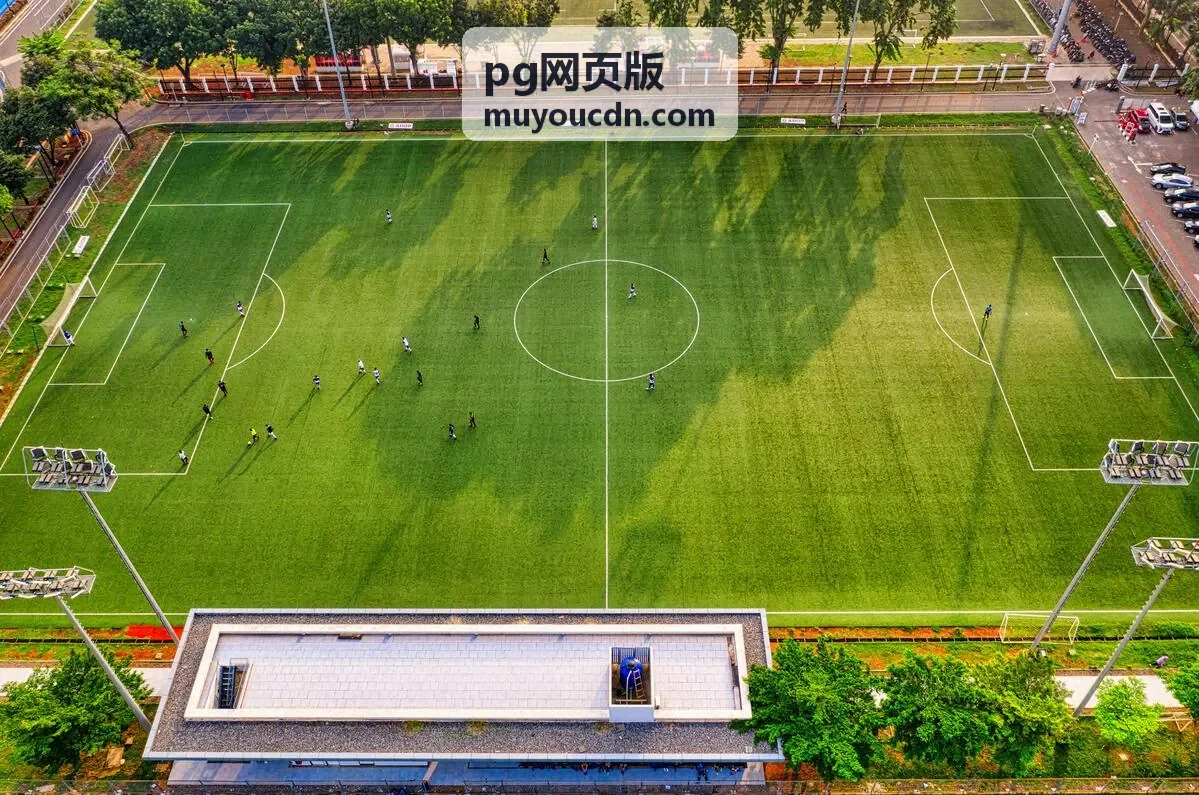 pg网页版新手入门路线封面图