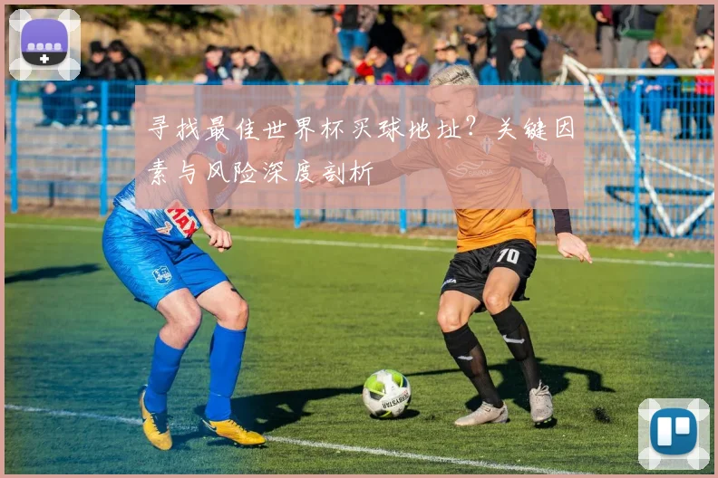 寻找最佳世界杯买球地址?关键因素与风险深度剖析