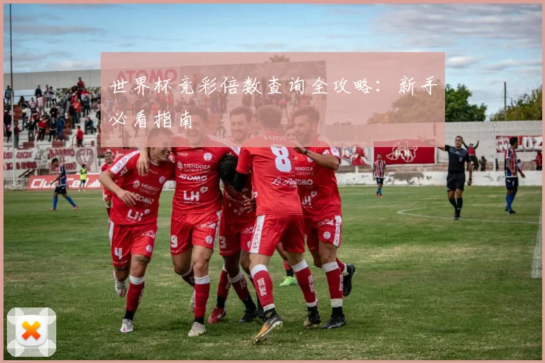 世界杯竞彩倍数查询全攻略:新手必看指南