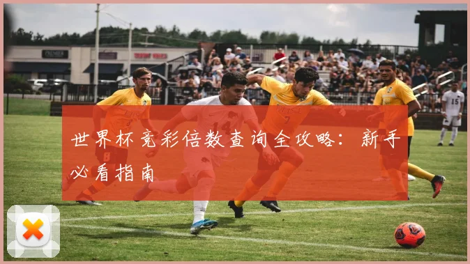 世界杯竞彩倍数查询全攻略:新手必看指南