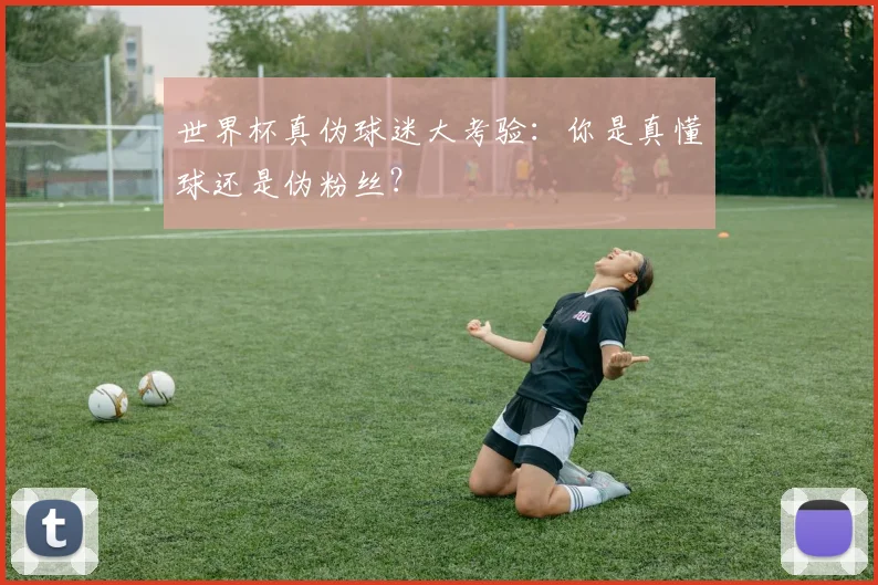 世界杯真伪球迷大考验：你是真懂球还是伪粉丝？